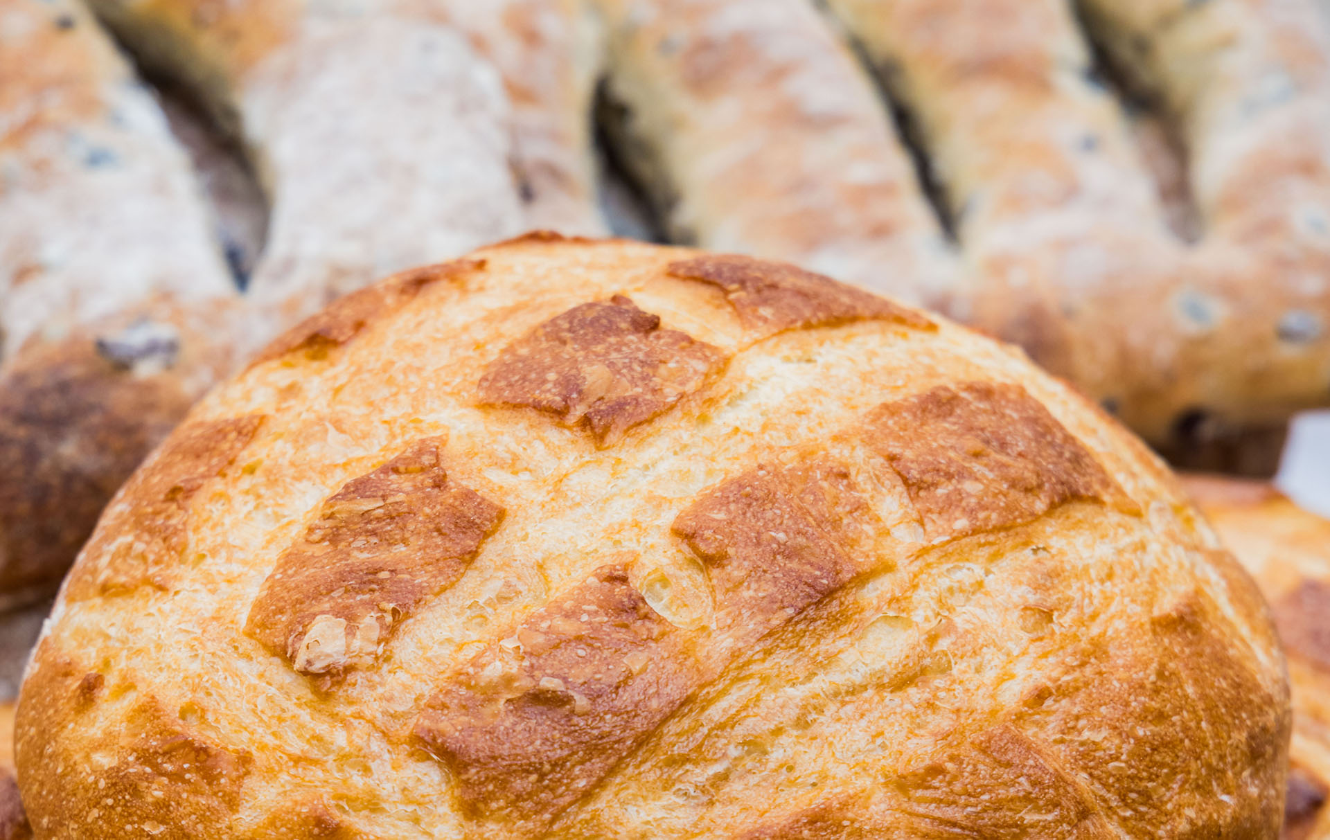 Culture Handmade & Homegrown at The Aventura Market