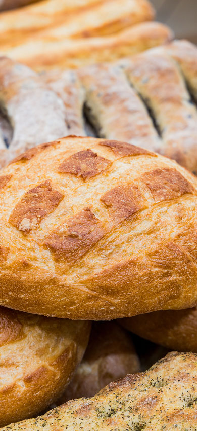 Culture Handmade & Homegrown at The Aventura Market